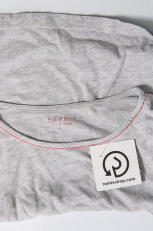 Kinder Shirt Esprit, Größe 13-14y/ 164-168 cm, Farbe Grau, Preis 12,00 €