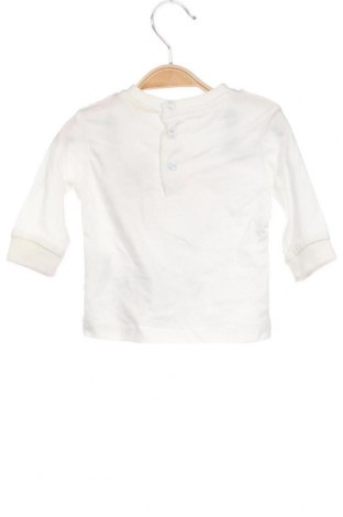 Детска блуза Fagottino By Oviesse, Размер 3-6m/ 62-68 см, Цвят Розов, Цена 12,76 лв.