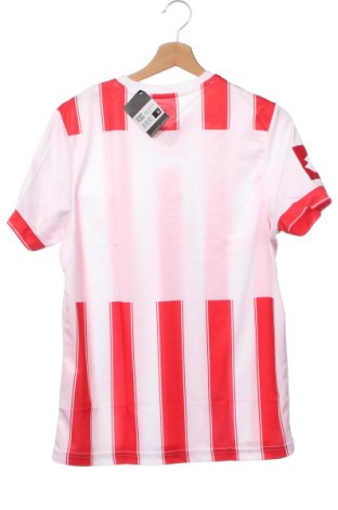 Tricou pentru copii Lotto, Mărime 15-18y/ 170-176 cm, Culoare Multicolor, Preț 21,89 Lei