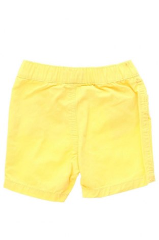 Pantaloni scurți pentru copii Du Pareil Au Meme, Mărime 3-6m/ 62-68 cm, Culoare Galben, Preț 29,53 Lei