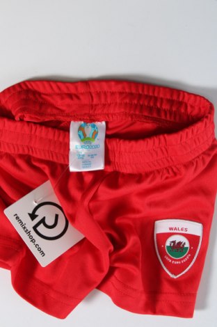 Pantaloni scurți pentru copii Uefa, Mărime 12-18m/ 80-86 cm, Culoare Roșu, Preț 18,47 Lei
