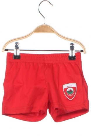 Pantaloni scurți pentru copii Uefa, Mărime 12-18m/ 80-86 cm, Culoare Roșu, Preț 87,24 Lei