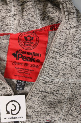 Παιδικό φούτερ Canadian Peak, Μέγεθος 7-8y/ 128-134 εκ., Χρώμα Γκρί, Τιμή 32,37 €