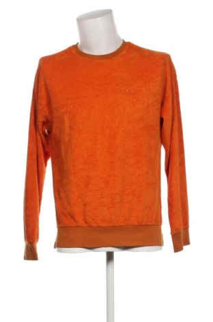 Ανδρική μπλούζα Brand Who, Μέγεθος M, Χρώμα Πορτοκαλί, Τιμή 5,33 €