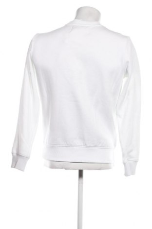 Herren Shirt Calvin Klein, Größe XS, Farbe Weiß, Preis 44,95 €
