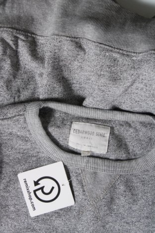 Ανδρική μπλούζα CedarWood State, Μέγεθος S, Χρώμα Γκρί, Τιμή 3,29 €