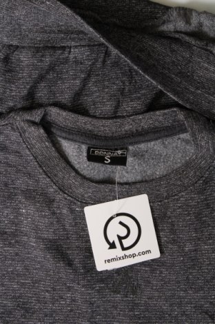 Herren Shirt Donnay, Größe S, Farbe Grau, Preis 4,76 €