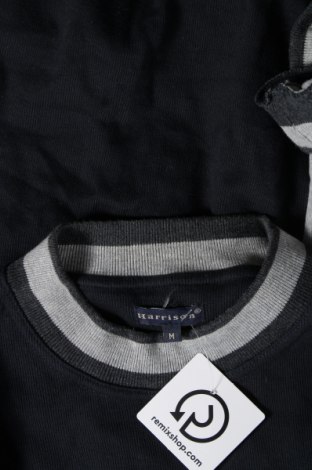 Ανδρική μπλούζα Harrison, Μέγεθος M, Χρώμα Πολύχρωμο, Τιμή 7,05 €