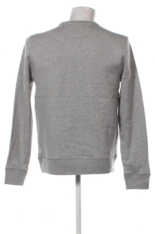 Herren Shirt Schott, Größe L, Farbe Grau, Preis € 28,04