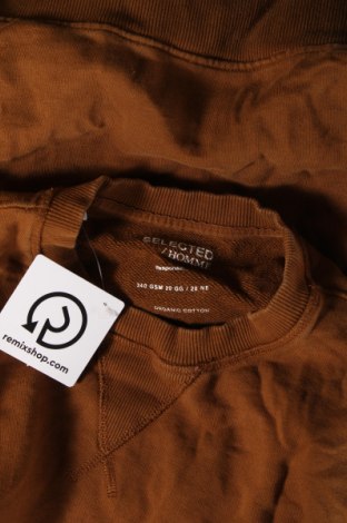 Ανδρική μπλούζα Selected Homme, Μέγεθος M, Χρώμα Καφέ, Τιμή 11,13 €