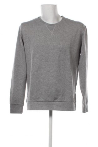 Herren Shirt Springfield, Größe XL, Farbe Grau, Preis 16,70 €