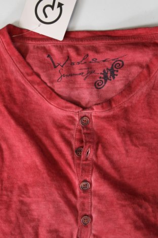 Ανδρική μπλούζα Wool & Co, Μέγεθος M, Χρώμα Κόκκινο, Τιμή 17,88 €