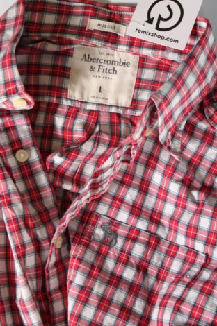 Ανδρικό πουκάμισο Abercrombie & Fitch, Μέγεθος L, Χρώμα Πολύχρωμο, Τιμή 24,12 €