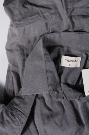 Ανδρικό πουκάμισο Canda, Μέγεθος M, Χρώμα Γκρί, Τιμή 3,05 €