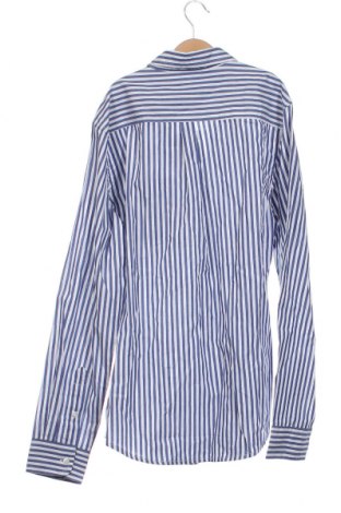 Pánská košile  Springfield, Velikost M, Barva Modrá, Cena  582,00 Kč