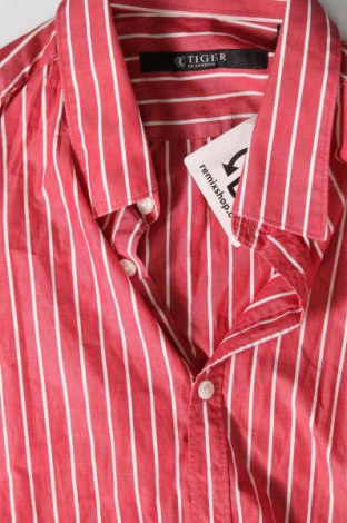 Мъжка риза Tiger Of Sweden, Размер M, Цвят Розов, Цена 29,13 лв.