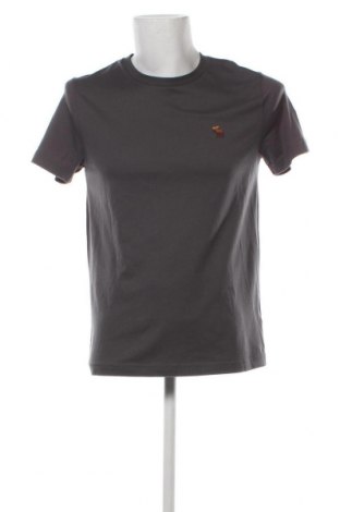 Ανδρικό t-shirt Abercrombie & Fitch, Μέγεθος M, Χρώμα Γκρί, Τιμή 21,98 €