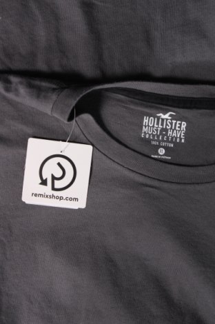 Pánske tričko  Hollister, Veľkosť XL, Farba Sivá, Cena  14,95 €