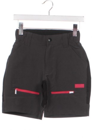Ανδρικό κοντό παντελόνι Nomad, Μέγεθος XS, Χρώμα Πολύχρωμο, Τιμή 15,98 €