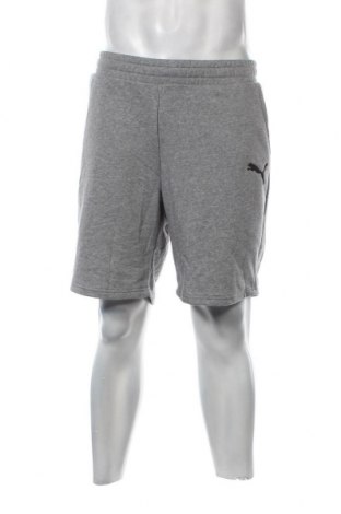Ανδρικό κοντό παντελόνι PUMA, Μέγεθος XL, Χρώμα Γκρί, Τιμή 33,64 €