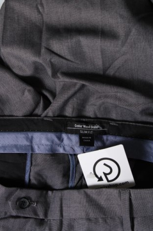 Ανδρικό παντελόνι CedarWood State, Μέγεθος XL, Χρώμα Γκρί, Τιμή 5,38 €
