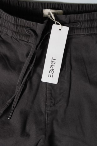 Ανδρικό παντελόνι Esprit, Μέγεθος M, Χρώμα Γκρί, Τιμή 44,85 €