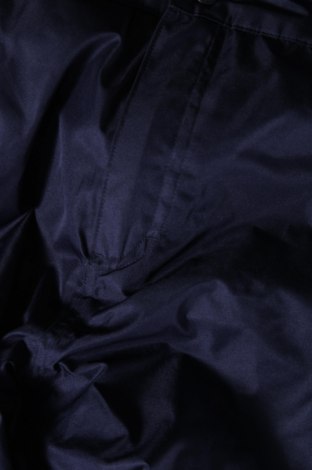 Ανδρικό παντελόνι για χειμερινά σπορ, Μέγεθος L, Χρώμα Μπλέ, Τιμή 13,92 €