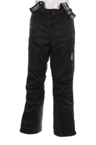 Ανδρικό παντελόνι για χειμερινά σπορ, Μέγεθος L, Χρώμα Μαύρο, Τιμή 21,53 €