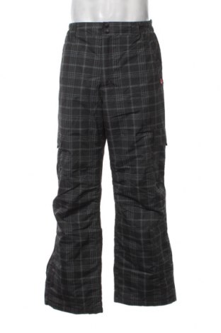 Мъжки панталон за зимни спортове, Размер L, Цвят Сив, Цена 26,25 лв.