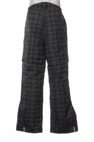 Ανδρικό παντελόνι για χειμερινά σπορ, Μέγεθος L, Χρώμα Γκρί, Τιμή 23,20 €