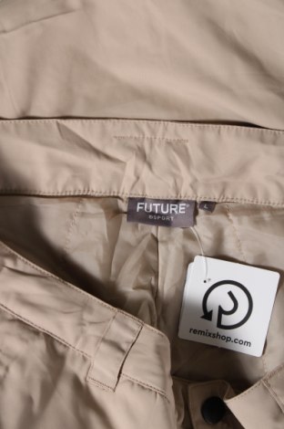 Ανδρικό παντελόνι για χειμερινά σπορ, Μέγεθος L, Χρώμα  Μπέζ, Τιμή 10,83 €