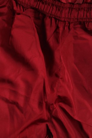 Мъжки панталон за зимни спортове, Размер M, Цвят Червен, Цена 18,72 лв.