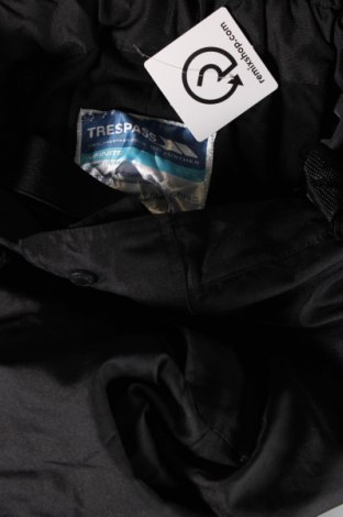 Ανδρικό παντελόνι για χειμερινά σπορ Trespass, Μέγεθος L, Χρώμα Μαύρο, Τιμή 11,60 €