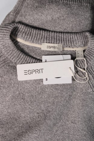 Herrenpullover Esprit, Größe L, Farbe Blau, Preis 8,91 €