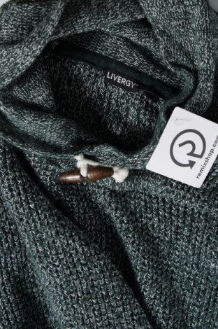 Ανδρικό πουλόβερ Livergy, Μέγεθος L, Χρώμα Πολύχρωμο, Τιμή 8,61 €
