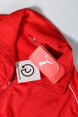 Ανδρική αθλητική ζακέτα PUMA, Μέγεθος S, Χρώμα Κόκκινο, Τιμή 20,75 €