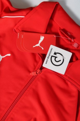 Ανδρική αθλητική ζακέτα PUMA, Μέγεθος S, Χρώμα Κόκκινο, Τιμή 16,60 €