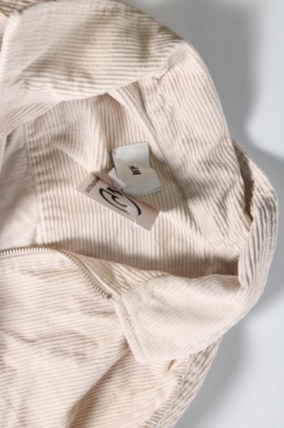 Ανδρικό μπουφάν H&M, Μέγεθος M, Χρώμα Εκρού, Τιμή 6,23 €
