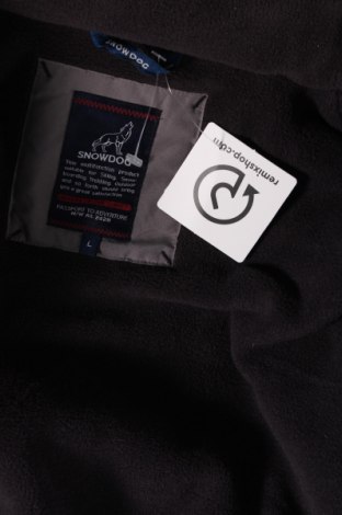 Ανδρικό μπουφάν για χειμερινά σπορ, Μέγεθος L, Χρώμα Πολύχρωμο, Τιμή 43,91 €