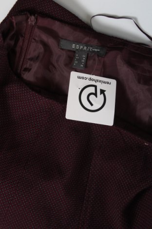 Φούστα Esprit, Μέγεθος XS, Χρώμα Πολύχρωμο, Τιμή 3,77 €