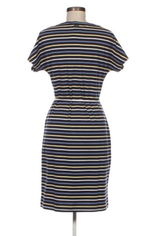 Φόρεμα Barbour, Μέγεθος M, Χρώμα Πολύχρωμο, Τιμή 53,40 €