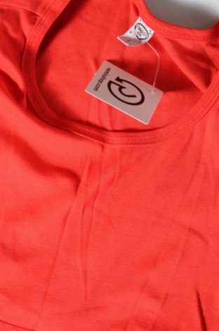 Φόρεμα Cecilia Classics, Μέγεθος S, Χρώμα Πορτοκαλί, Τιμή 14,83 €