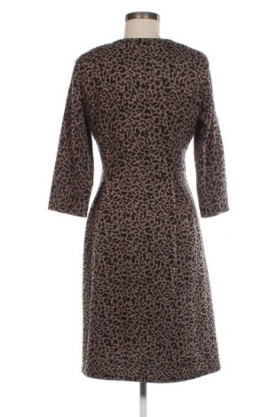 Kleid Collection, Größe XL, Farbe Mehrfarbig, Preis € 14,33
