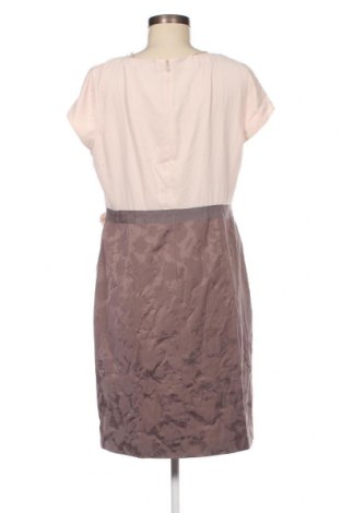 Kleid Comma,, Größe XL, Farbe Beige, Preis € 41,06