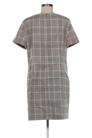 Kleid Dorothy Perkins, Größe XL, Farbe Mehrfarbig, Preis 20,18 €