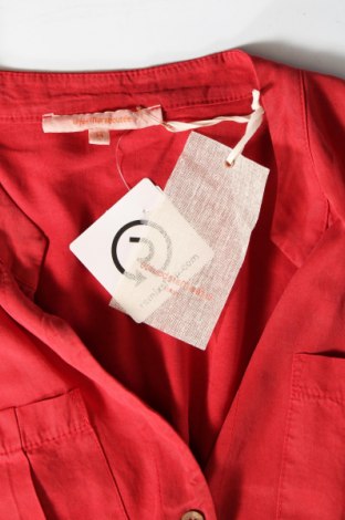Kleid La Fee Maraboutee, Größe XS, Farbe Rot, Preis 13,53 €