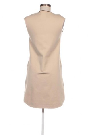 Kleid Massimo Dutti, Größe S, Farbe Beige, Preis 89,23 €