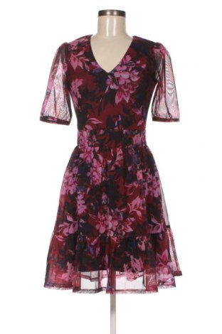 Φόρεμα Melrose, Μέγεθος XS, Χρώμα Βιολετί, Τιμή 11,62 €