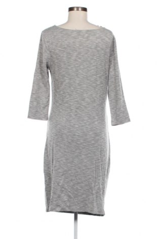 Kleid Minus, Größe L, Farbe Grau, Preis 3,28 €