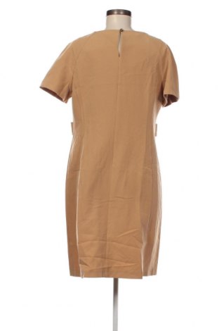 Kleid Papaya, Größe L, Farbe Beige, Preis 20,18 €